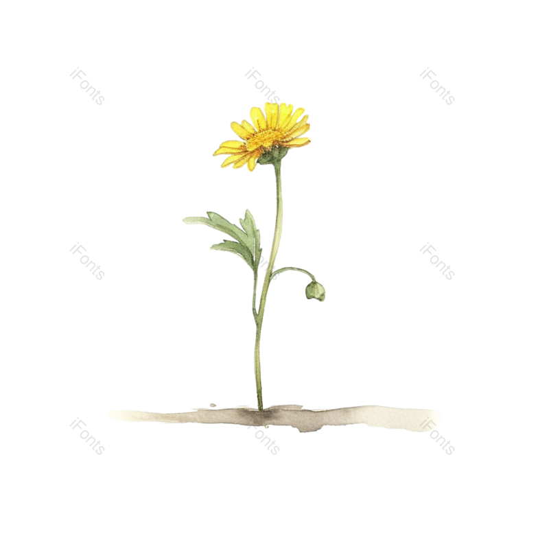 装饰图片,向日葵手绘元素,花卉PNG,花草免抠素材